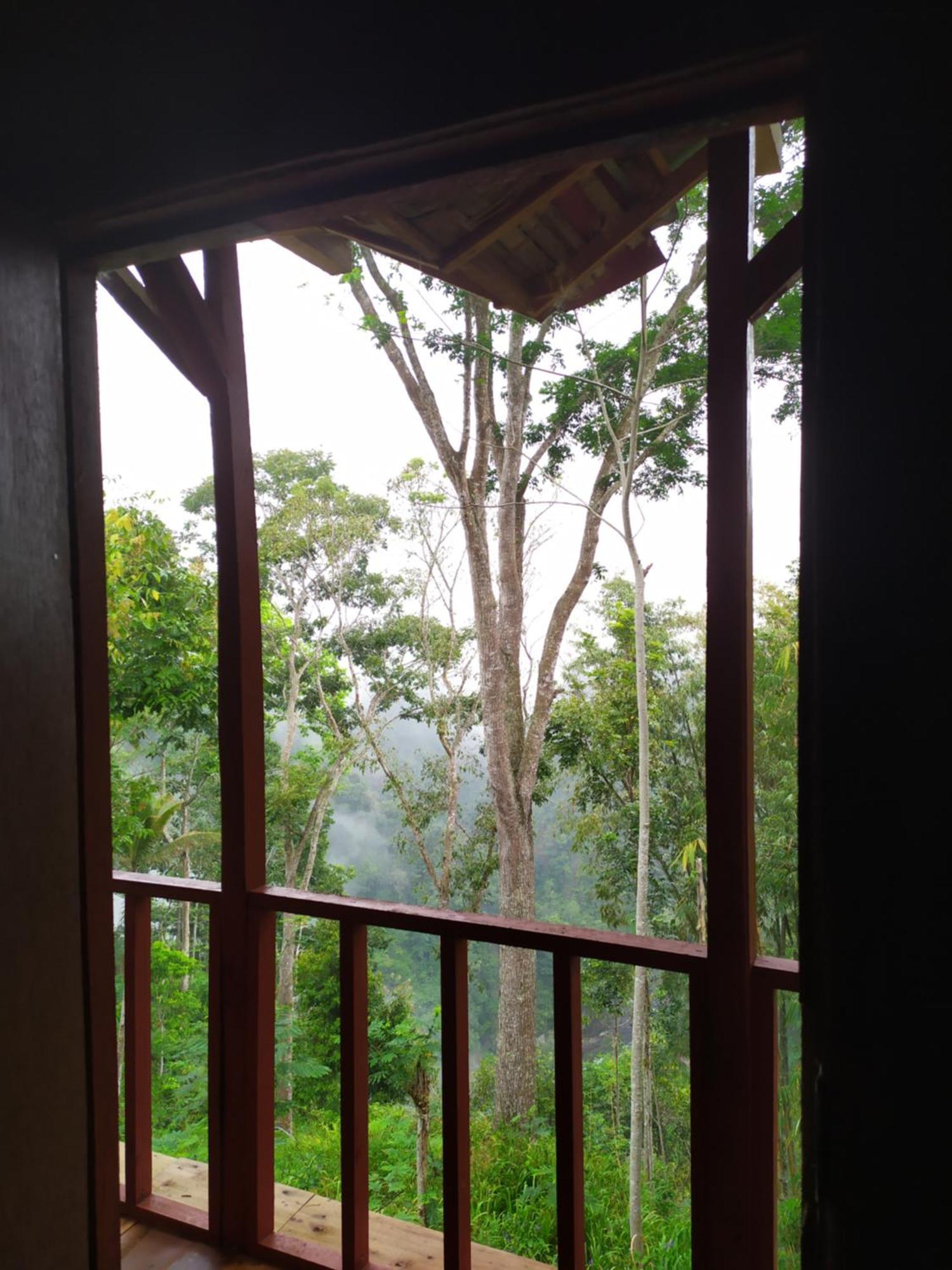 Happy Monkeys Village Sidomukti ภายนอก รูปภาพ