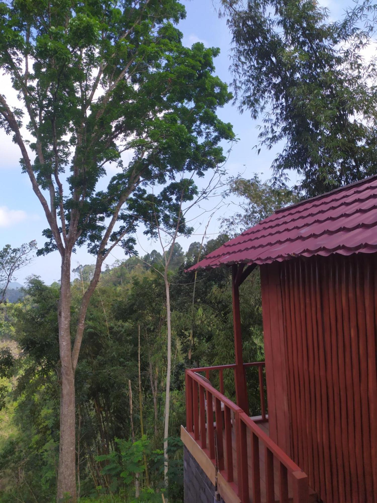 Happy Monkeys Village Sidomukti ภายนอก รูปภาพ